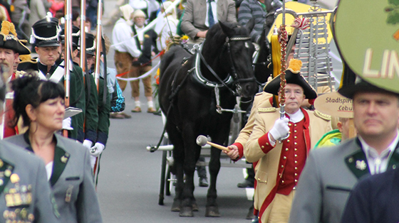 Ein Ausschnitt des Theresienfestes in Hildburghausen zeigt Menschen in grauen Blazern und einem Mann in Garde mit roter Weste. Zentral im Foto erkennt man ein schwarzes Pferd, dass eine Kutsche zieht. Im Hintergrund sind weitere Menschen des Umzuges zu erkennen.