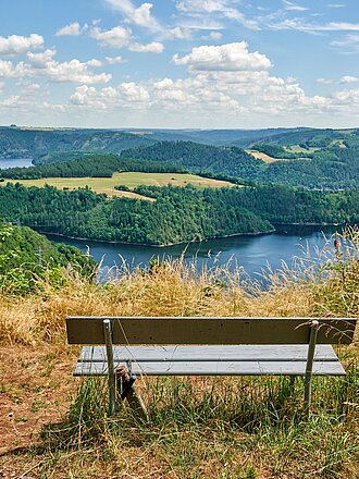 Panoramablick auf die Landschaft um den Stausee mit sommerlichen Wiesen und Feldern