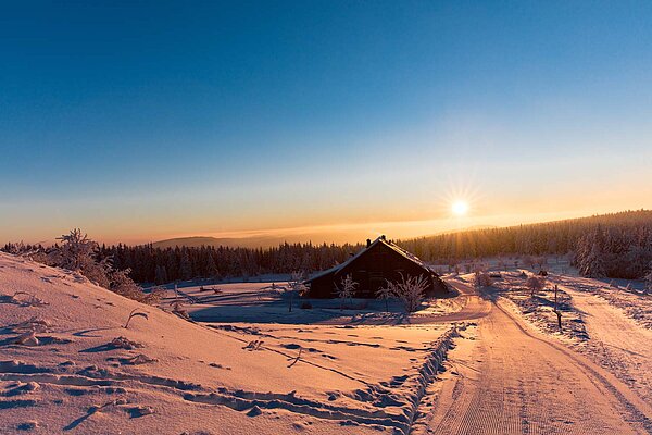 Loipe im verschneiten Thüringer Wald