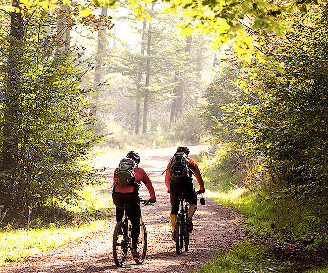 Zwei Radfahrer fahren durch ein Waldstück.