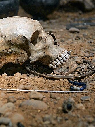 Die Knochen der „Fürstin von Haßleben“ liegen auf Steinsand ausgeleuchtet im Museum
