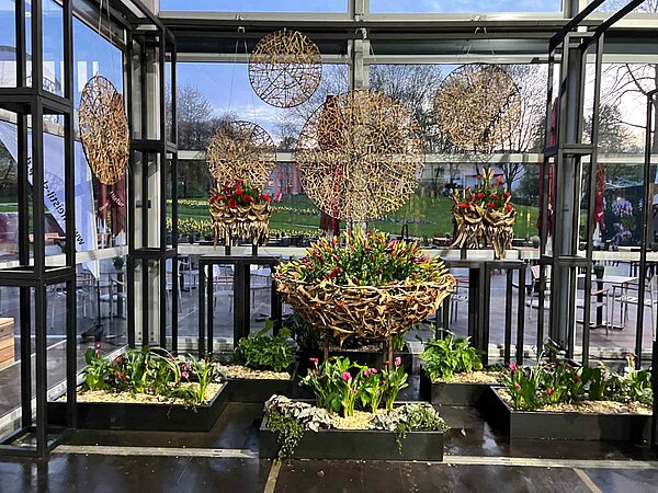 Wintergarten auf der LAGA dekoriert mit kreisrunder Deko aus Pflanzenmaterial und mit schwarzen Metallregalen, rechteckigen Pflanzengefäßen und mittig aufgehängtem Pflanzenkorb mit Lilien, an den Fenster