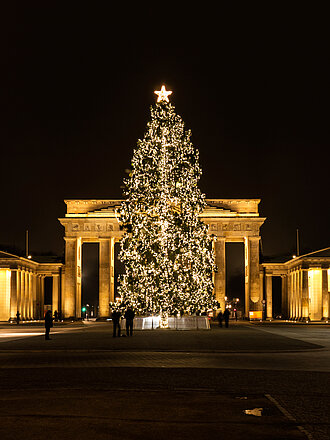 Vor schwarzem Himmel steht leuchtender Weihnachtsbaum steht vor dem angestrahlten Brandenburger Tor