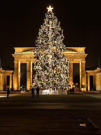 Vor schwarzem Himmel steht leuchtender Weihnachtsbaum steht vor dem angestrahlten Brandenburger Tor