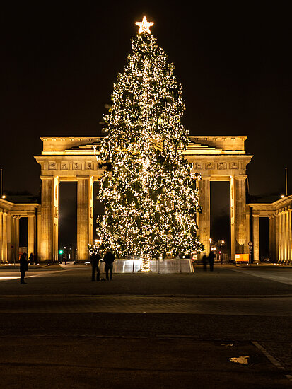 Vor schwarzem Himmel steht leuchtender Weihnachtsbaum steht vor dem angestrahlten Brandenburger Tor