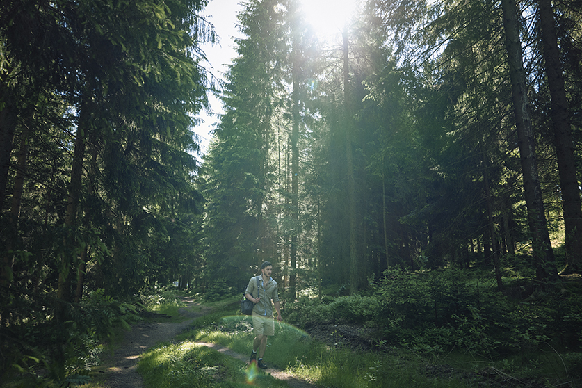 Sascha Bedecken im Wald, die Sonne scheint durch die Wipfel.